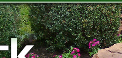 Landscaping Contractor Houston TX