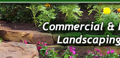 Landscaping Contractor Houston TX