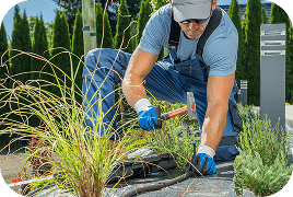 Seasonal Cleanup Houston
