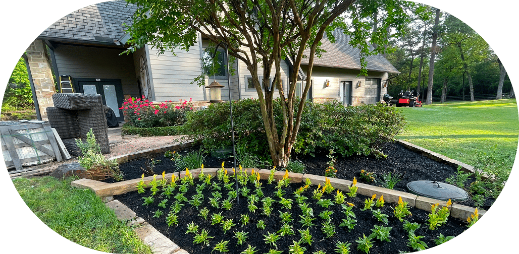 Modern backyard landscaping with patio and greenery