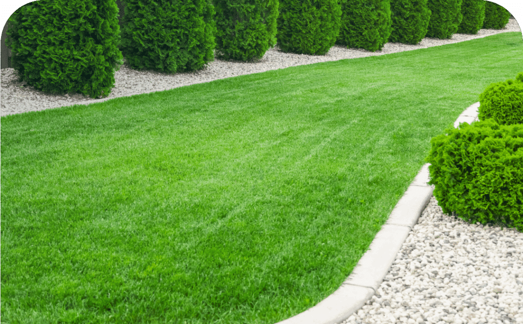 backyard hardscape contractors