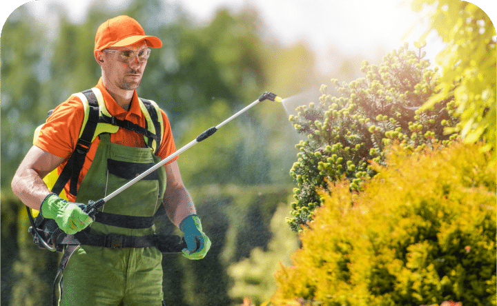 Weed & Pest Control Houston