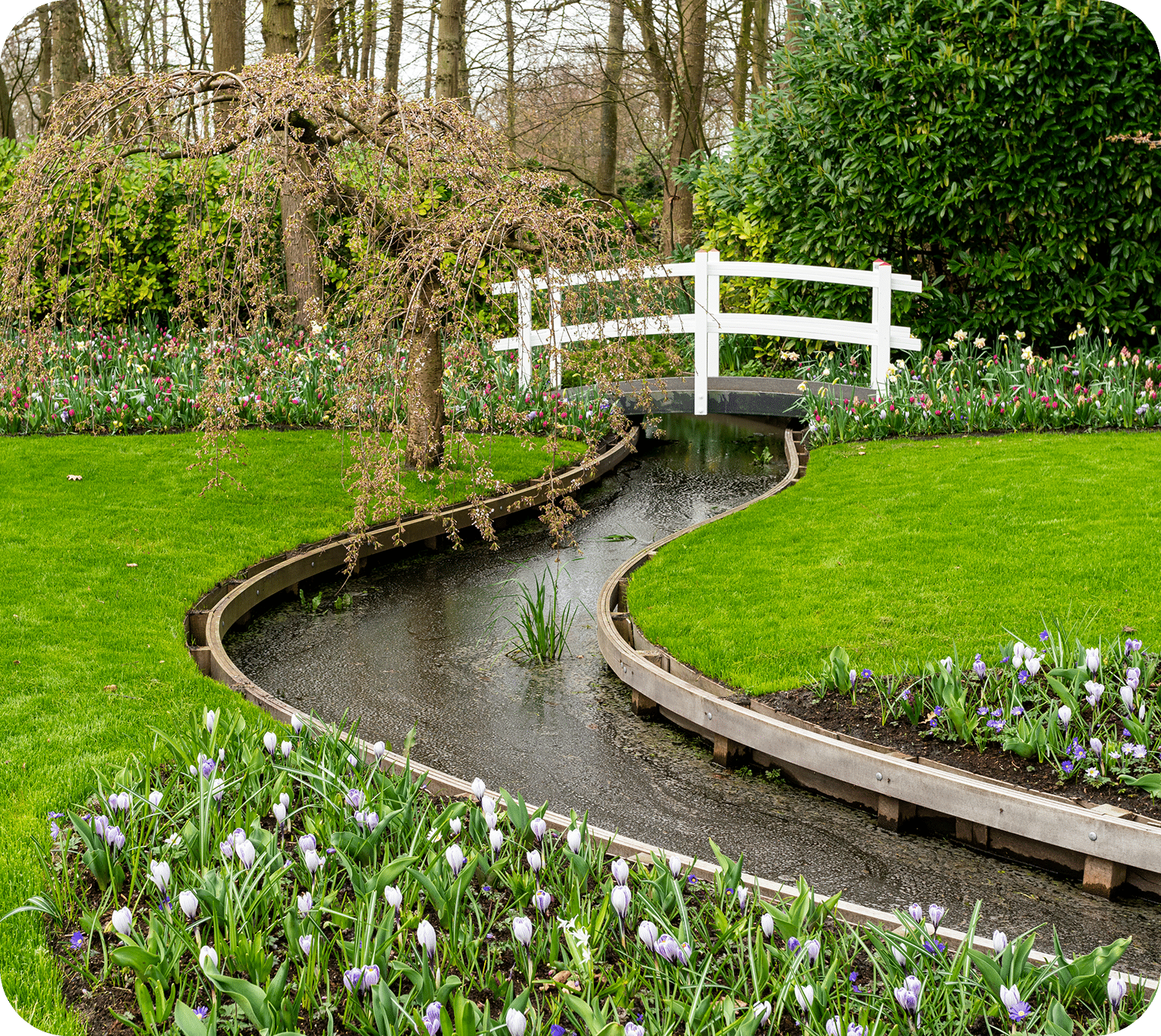Beautiful flower garden Houston