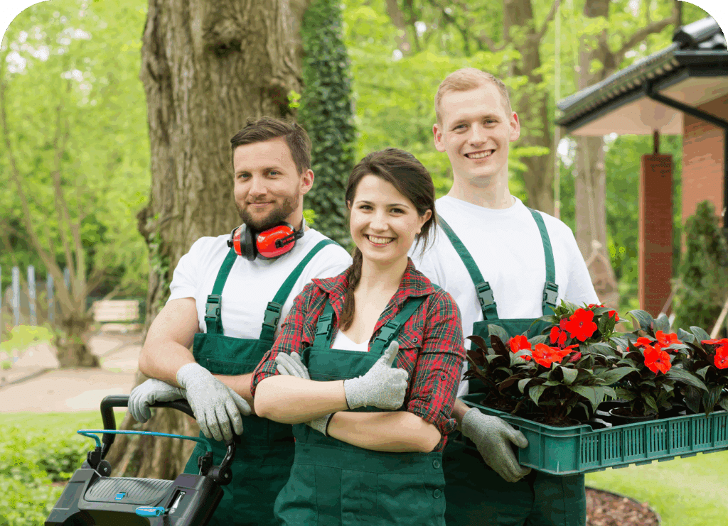 Best Landscape Maintenance in Houston