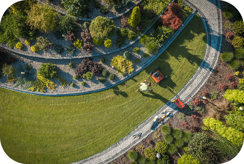 Regular Mowing & Edging