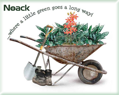 Noack Landscaping